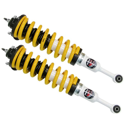 COIL STRUT ASSEMBLY TPR - 201HD Piranha Off Road Products