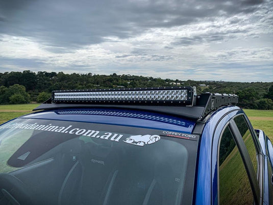 Scout Roof rack Offroad Animal